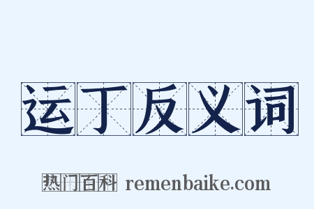 运丁反义词是什么意思的图片